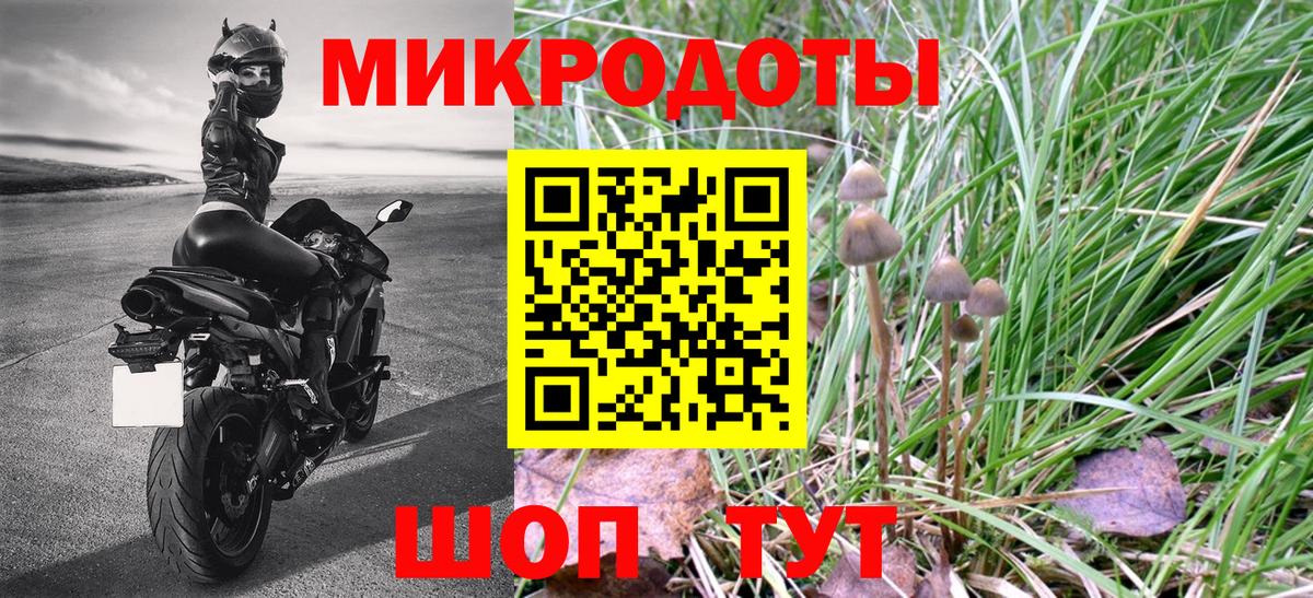 Псилоцибиновые грибы Psilocybe  Вход с VPN  Отрадный  Псилоцибиновые грибы прущие грибы 